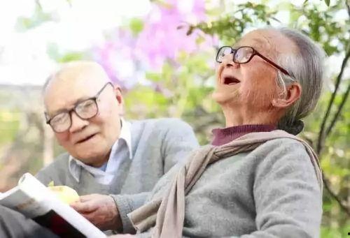 老来有喜乖孙养老,幸福晚年新篇章